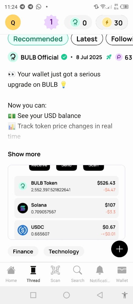 What is bulb wallet