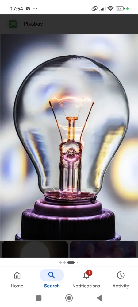 Navigating the Risks and Rewards of Investing in Bulb Tokens