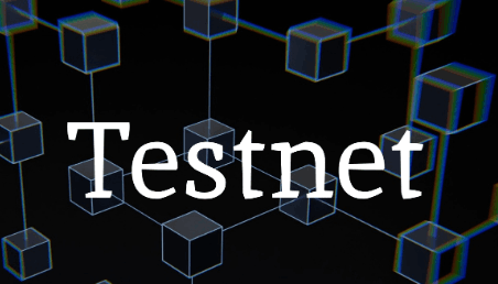 What Is Testnet? & Testnet Feedback