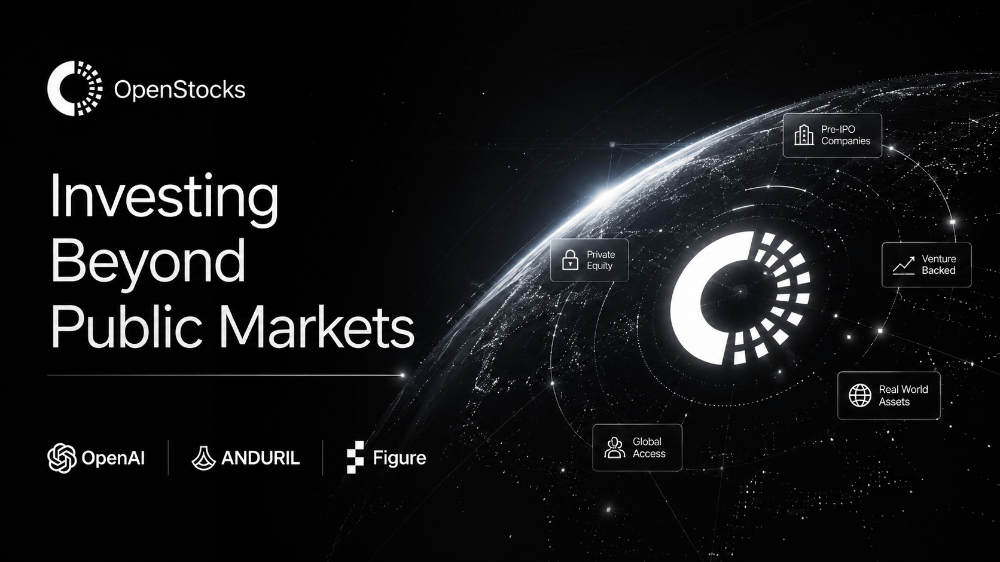 Building a Resilient Portfolio: Investing Beyond Public Markets
