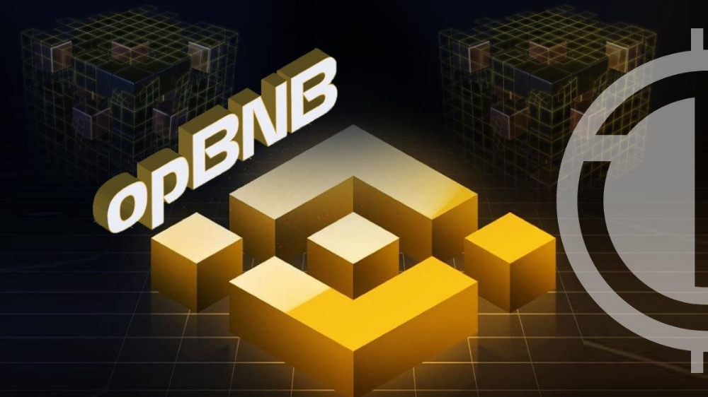 What is OPBNB Network?