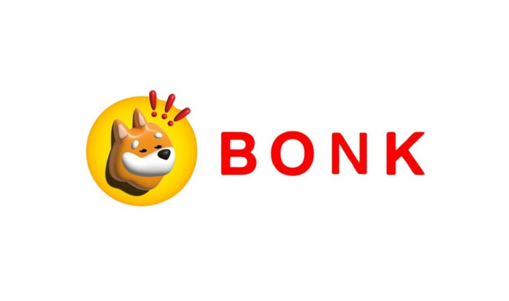 BONK Coin