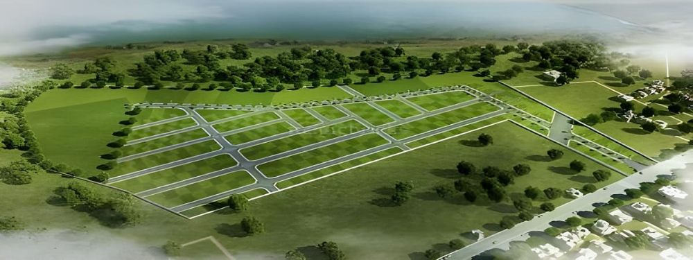 Trident Plots Panipat – Premium Residential Plots in Sector 19A