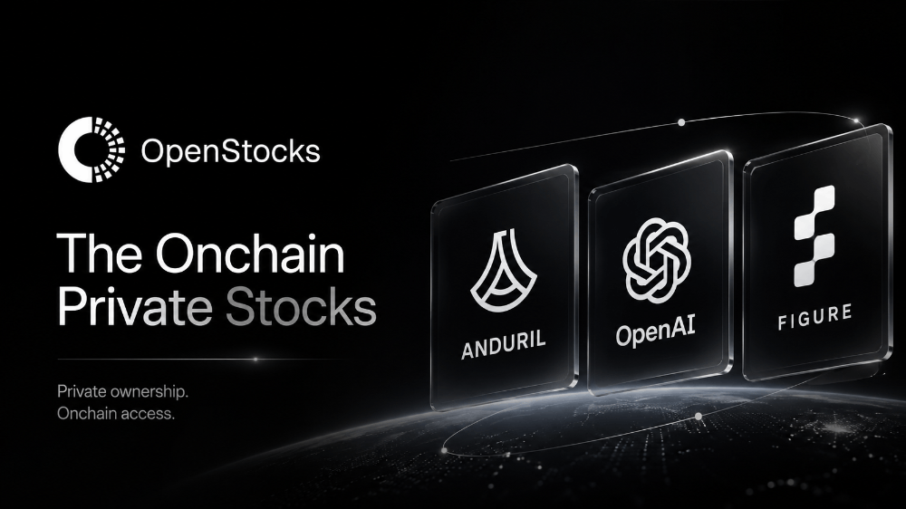 The Accessible Onchain Stocks: The Onchain Private Stocks