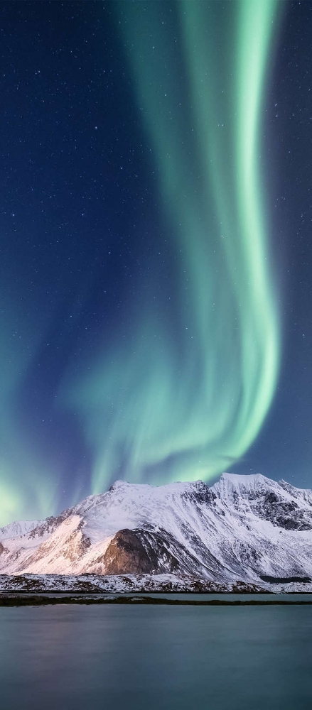 Things That happen in War,‎PEACE IS PRICELESS