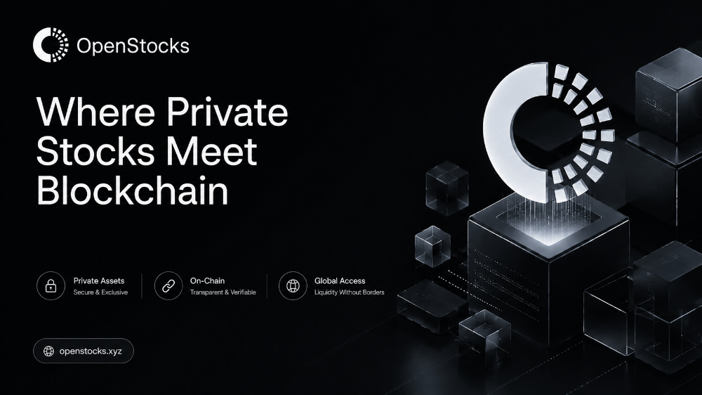 The Infinite Possibilities: Where Private Stocks Meet Blockchain