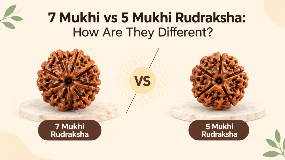 7 Mukhi vs 5 Mukhi Rudraksha: How Are They Different?