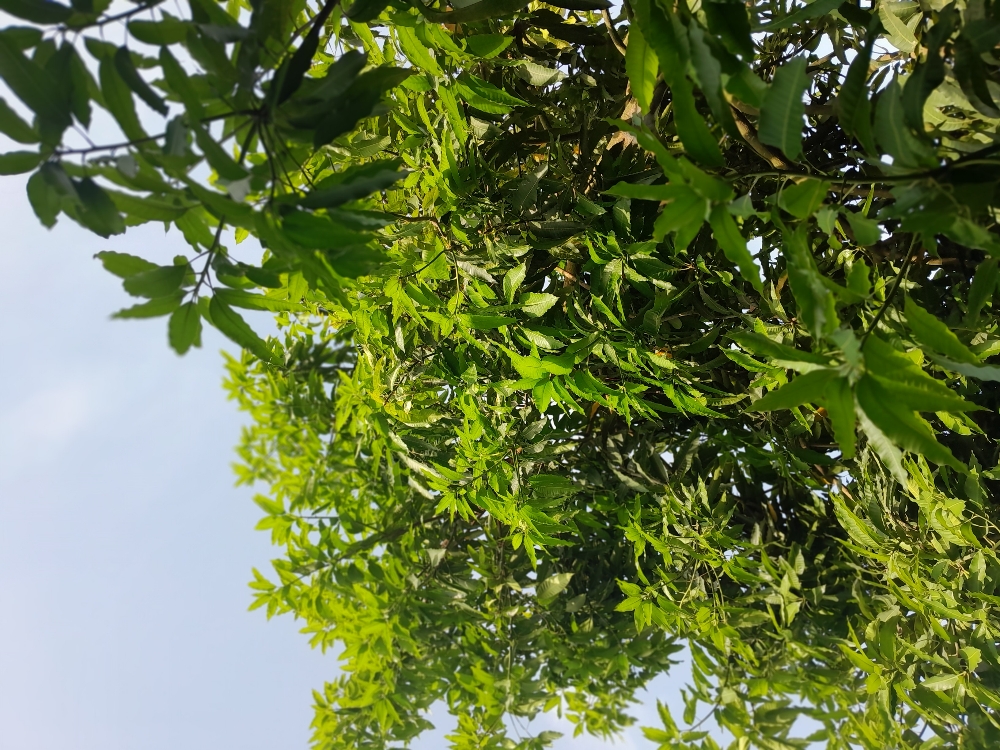 Bulb: Powering a More Meaningful Social Experience